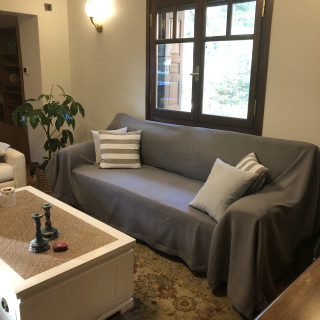 ΑΝΤΙΜΙΚΡΟΒΙΑΚΟ ΡΙΧΤΑΡΙ για καναπέδες pet friendly ΣΧ. TARTAN