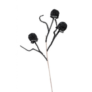 ΛΟΥΛΟΥΔΙ ΜΑΥΡΟ - ESPIEL