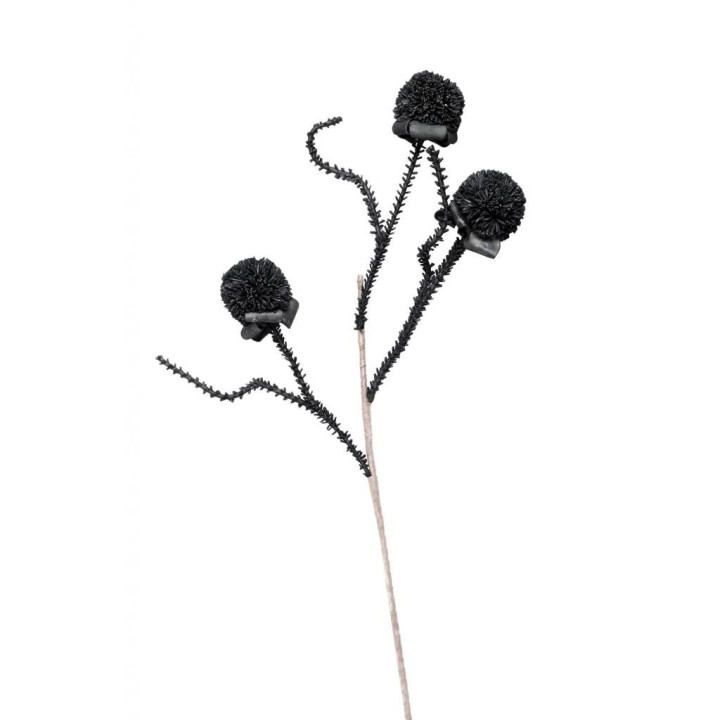 ΛΟΥΛΟΥΔΙ ΜΑΥΡΟ - ESPIEL