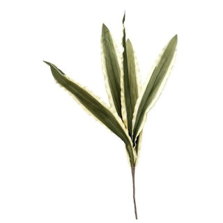 ΛΟΥΛΟΥΔΙ ΠΡΑΣΙΝΟ - ESPIEL