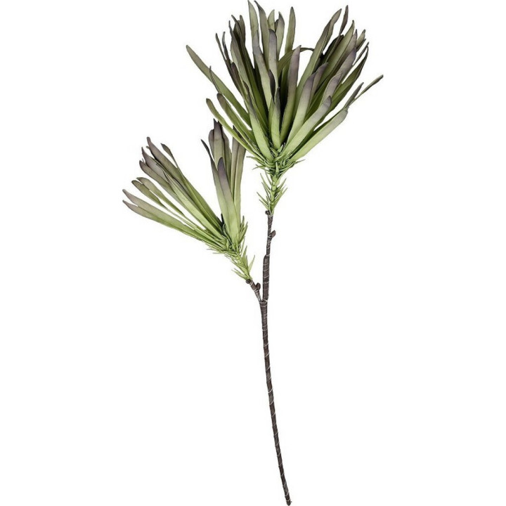 ΛΟΥΛΟΥΔΙ ΠΡΑΣΙΝΟ 100cm - ESPIEL