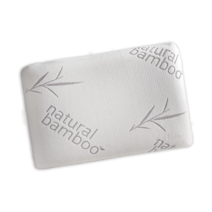 Guy Laroche Visco Elastic Aloe Vera Μαξιλάρι Ύπνου Memory Foam