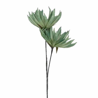 ΛΟΥΛΟΥΔΙ ΠΡΑΣΙΝΟ LOL974K6 - ESPIEL