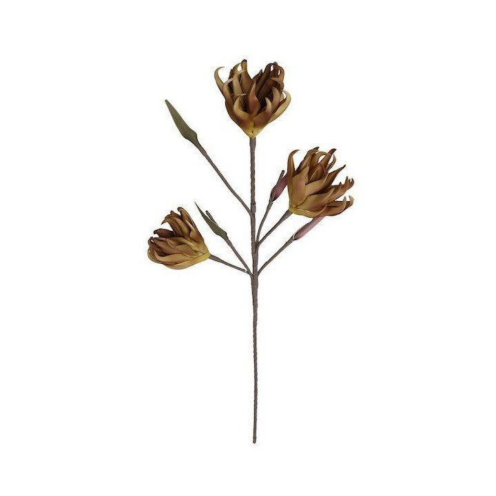 ΛΟΥΛΟΥΔΙ ΚΙΤΡΙΝΟ