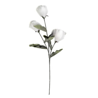 ΛΟΥΛΟΥΔΙ PAMPASS ΛΕΥΚΟ 105ΕΚ MAP141K6 ESPIEL