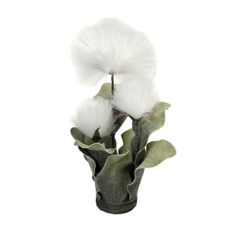 ΜΠΟΥΚΕΤΟ PAMPASS ΛΕΥΚΟ 42ΕΚ. MAP144K6 ESPIEL