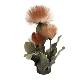 ΜΠΟΥΚΕΤΟ PAMPASS ΚΑΦΕ 42ΕΚ. MAP146K6 ESPIEL