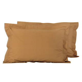 1017 ΖΕΥΓΟΣ ΜΑΞΙΛΑΡΟΘΗΚΕΣ ΧΡΥΣΟ